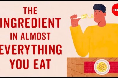 The Ingredient in Almost Everything You Eat