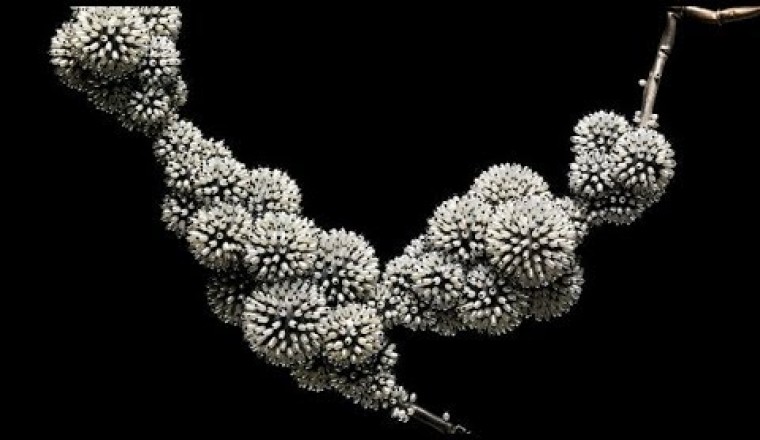 A History of Pearls