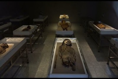 The Race To Save the World’s Oldest Mummies
