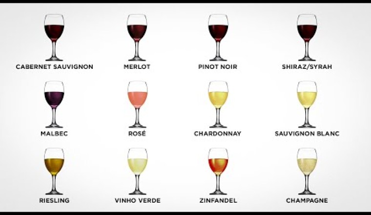 Every Wine Explained