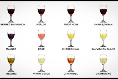 Every Wine Explained
