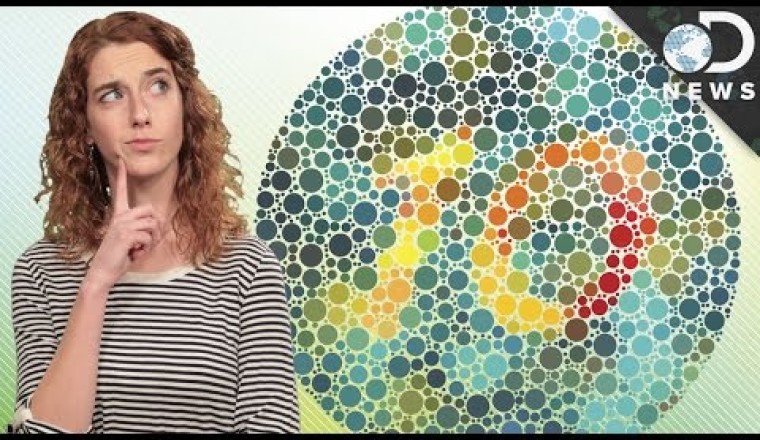 What Causes Color Blindness?