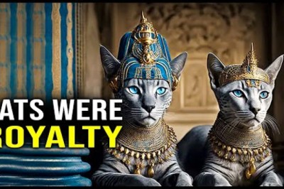Cats and Egyptian Mythology