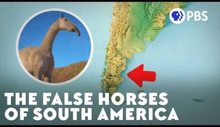The Mystery of South America's False Horses
