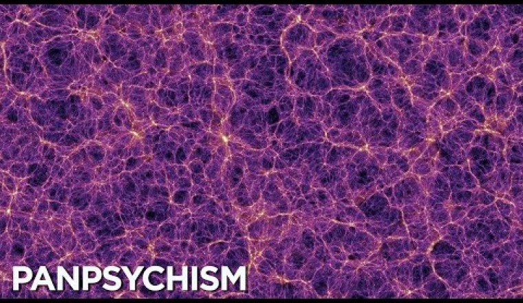 Is The Universe Just A Giant Brain? Some Scientists Think So.