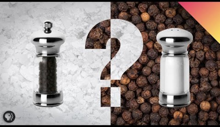 Why Salt and Pepper Ended Up On Every Table
