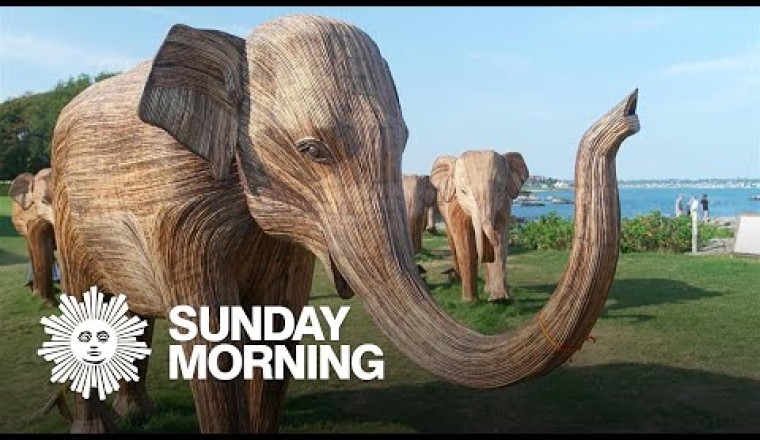 Elephant Sculptures Make Their Way Across the U.S.