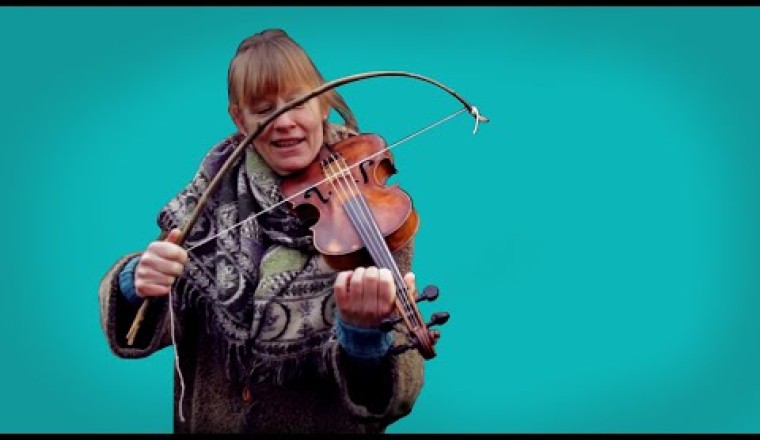 Introducing the Evolution of the Bow