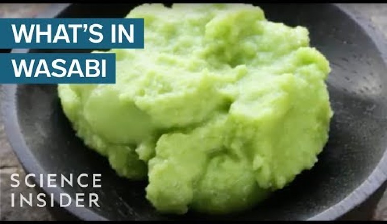 All About Wasabi