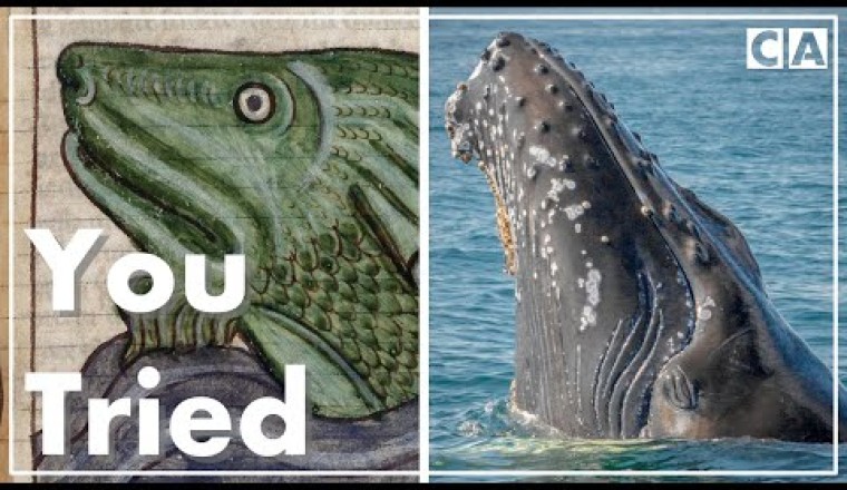 Hilariously Inaccurate Medieval Art of Animals