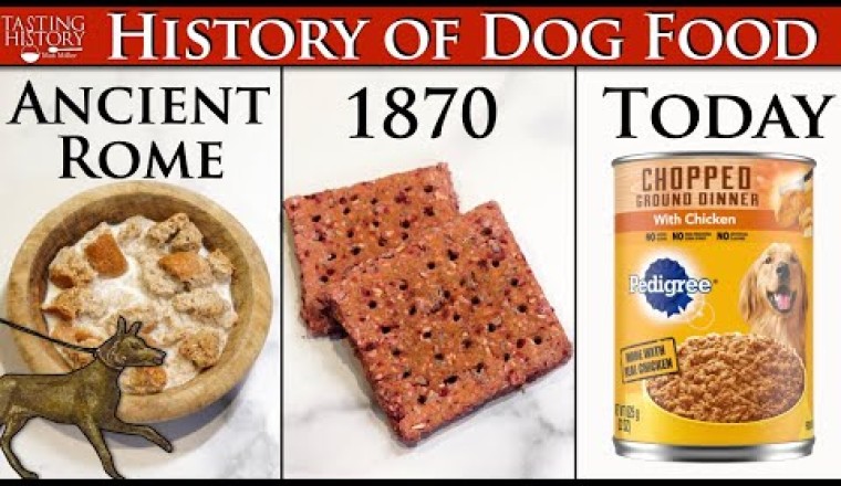 Recreating Dog Food from the Last 2,000 Years