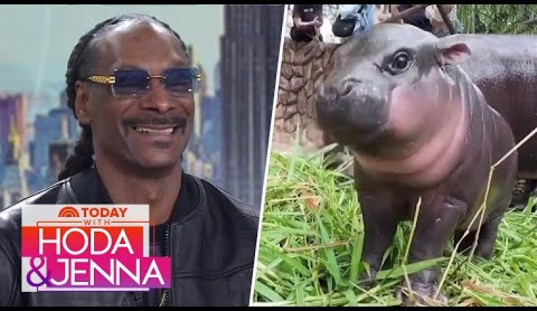 Snoop Dogg on Moo Deng: 'That is a pretty hippopotamus'