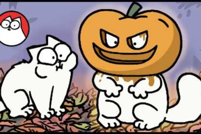 Feline Brave? This Will Terrify You (…and Your Cat!)