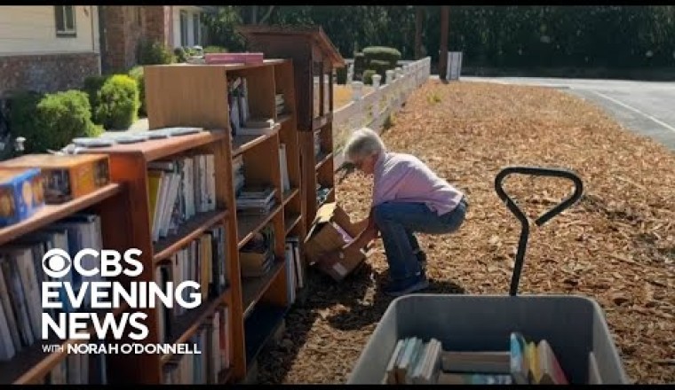 California Woman Takes Little Free Libraries to Another Level