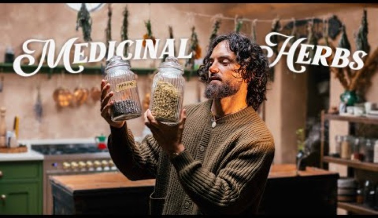 Grow Your Own Pharmacy, 10 Healing Herbs You Need!
