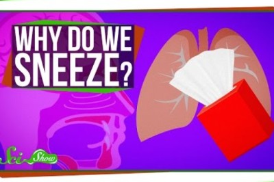 Why Do We Sneeze?