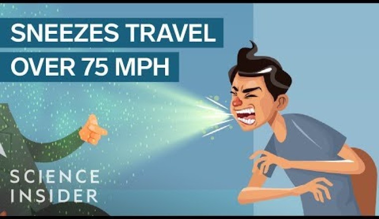 How Contagious Is A Single Sneeze?