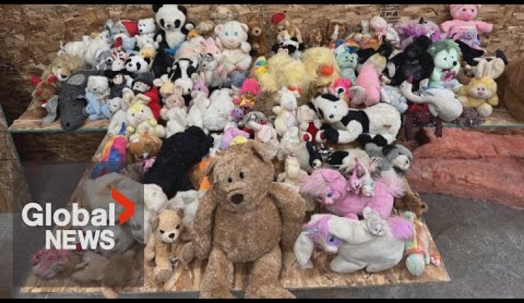 BC Couple Finds Over 100 Stuffed Animals Hidden in Walls During Renovation