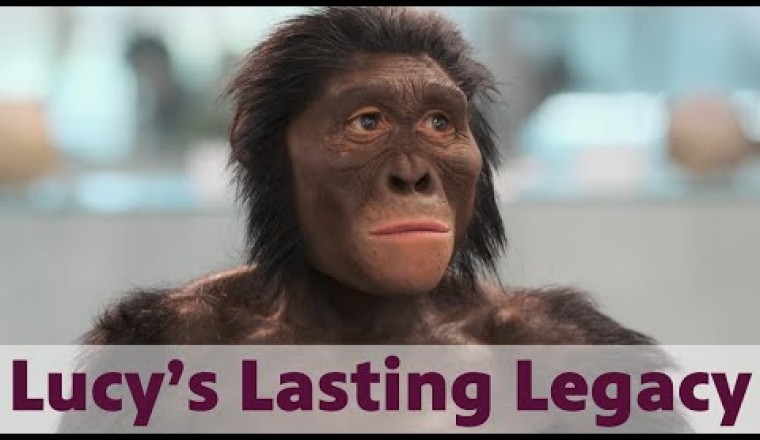 Lucy's Lasting Legacy