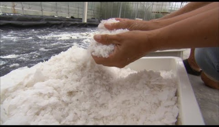 How Salt is Made