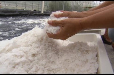 How Salt is Made