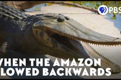 When the Amazon Flowed Backwards