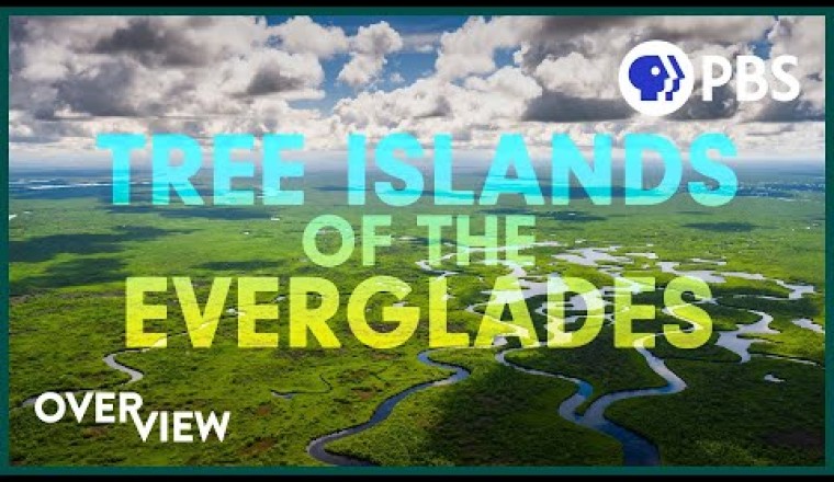 The Secret Islands of the Everglades