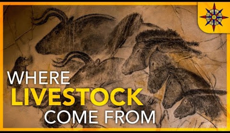 The Geography of Livestock