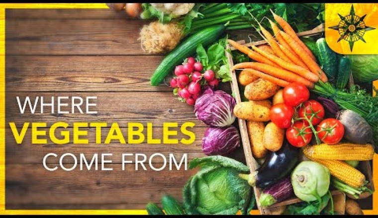 The Geography of Vegetables