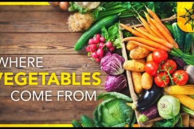 The Geography of Vegetables