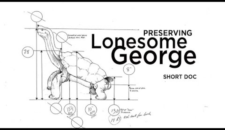 Preserving Lonesome George
