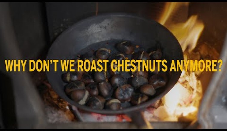 Why Don’t We Roast Chestnuts Anymore?