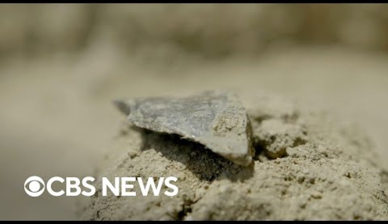 Archaeologists Discover Ancient Tools Dating Back Millions of Years