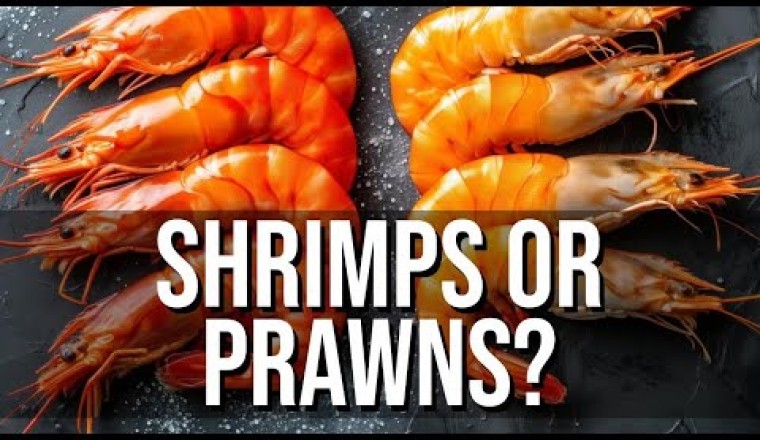 What Separates Shrimp From Prawns?