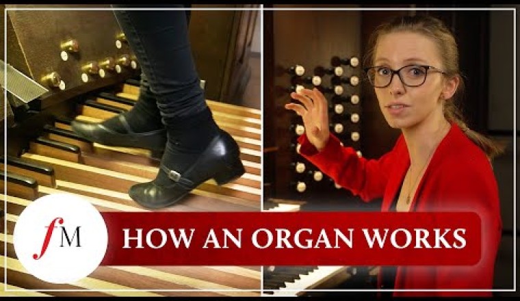 How Does a Pipe Organ Actually Work?