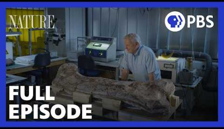 Museum Alive with David Attenborough (Premiere)