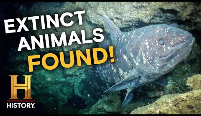 Scientists Stunned by Extinct Creature Discovery