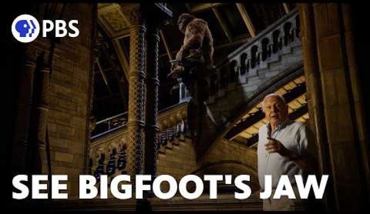 Was Bigfoot Real?