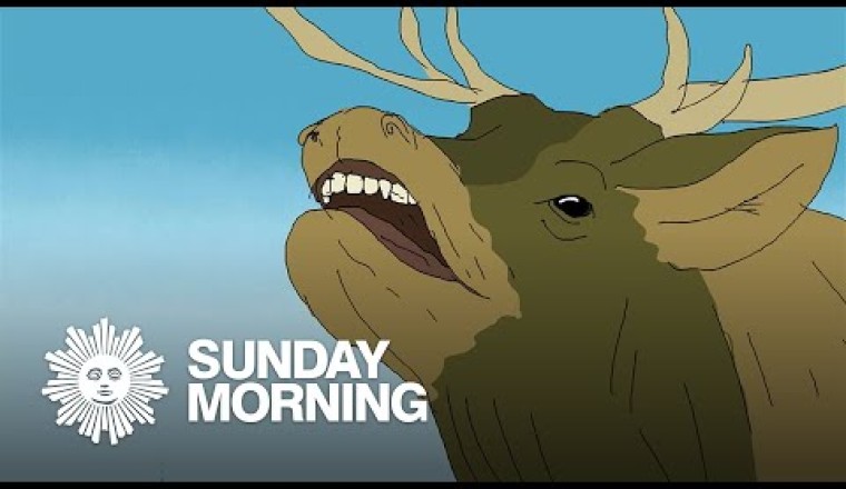 Why does a big elk sound so puny?
