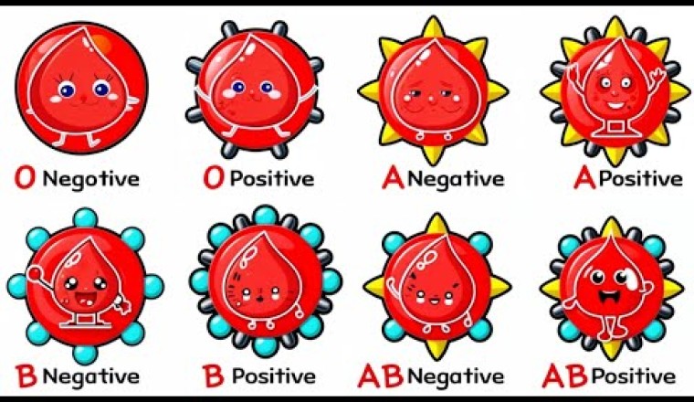 Every Blood Type Explained in 5 Minutes