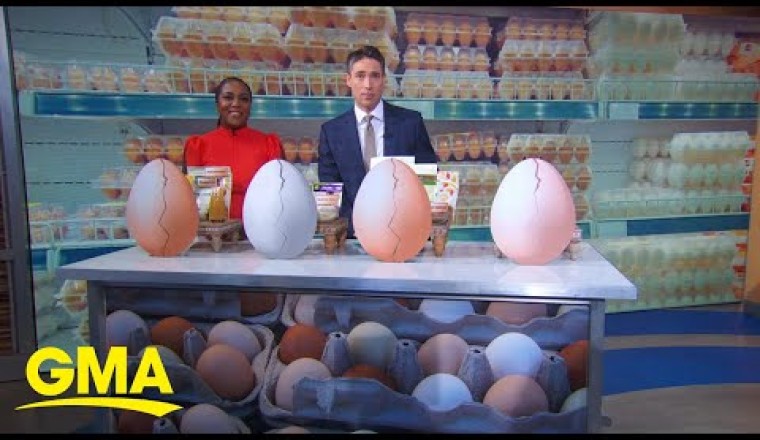 Budget-Friendly Egg Alternatives