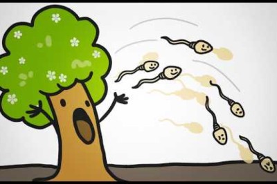 Pollen Is Not Plant Sperm (It’s MUCH Weirder)