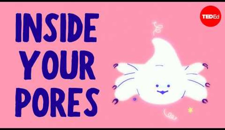 You Might Be Surprised by What You’d Find in Your Pores