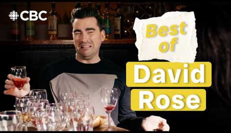 David Rose being David Rose for 10 minutes straight!