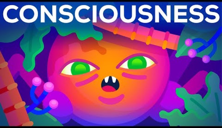 The Origin of Consciousness – How Unaware Things Became Aware