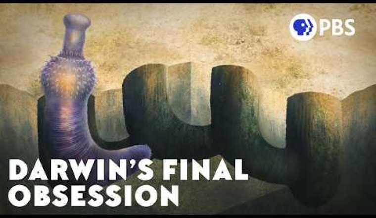 Darwin's Unexpected Final Obsession