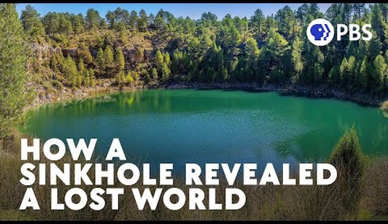 How a Sinkhole Revealed a Lost World