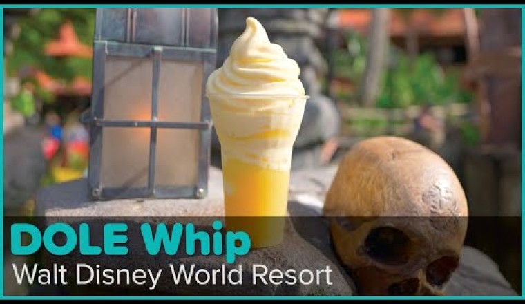 The Many Varieties of DOLE Whips at Walt Disney World