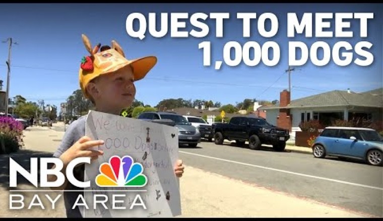 Day Care Teacher Aids 4-Year-Old’s Quest To Meet 1,000 Dogs Before He Goes to Kindergarten