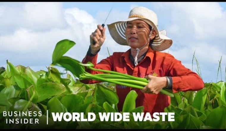 A Fast-Growing Weed Chokes Lakes In 50 Countries. Now Women Weave It Into Bags